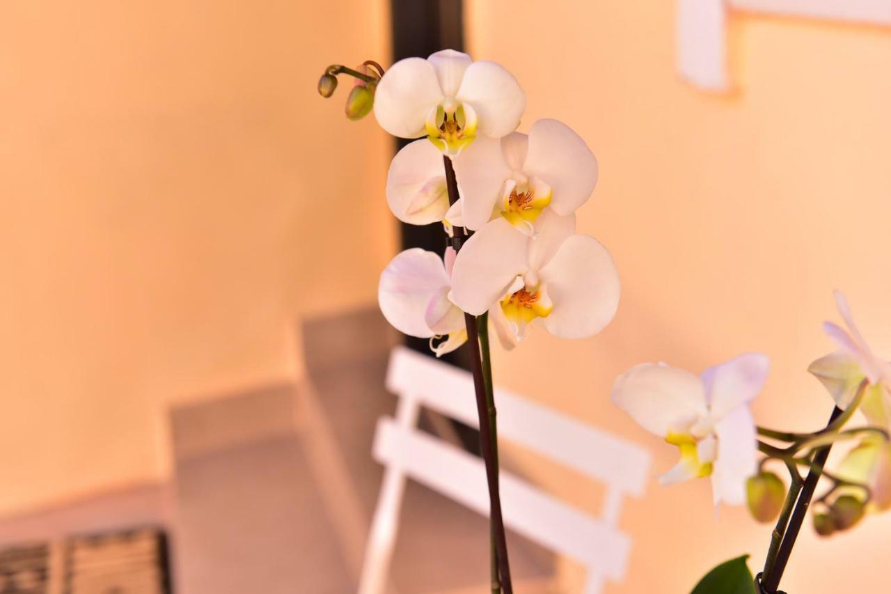 Casa Soare - Ultracentral Guesthouse 시비우 외부 사진